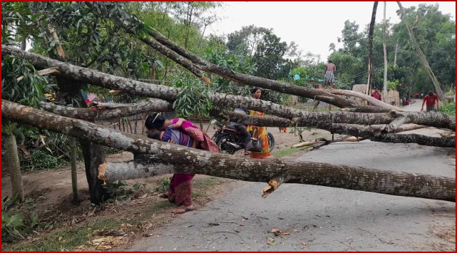 হঠাৎ ৫ মিনিটের ঝড়ে এলাকা লন্ডভন্ড