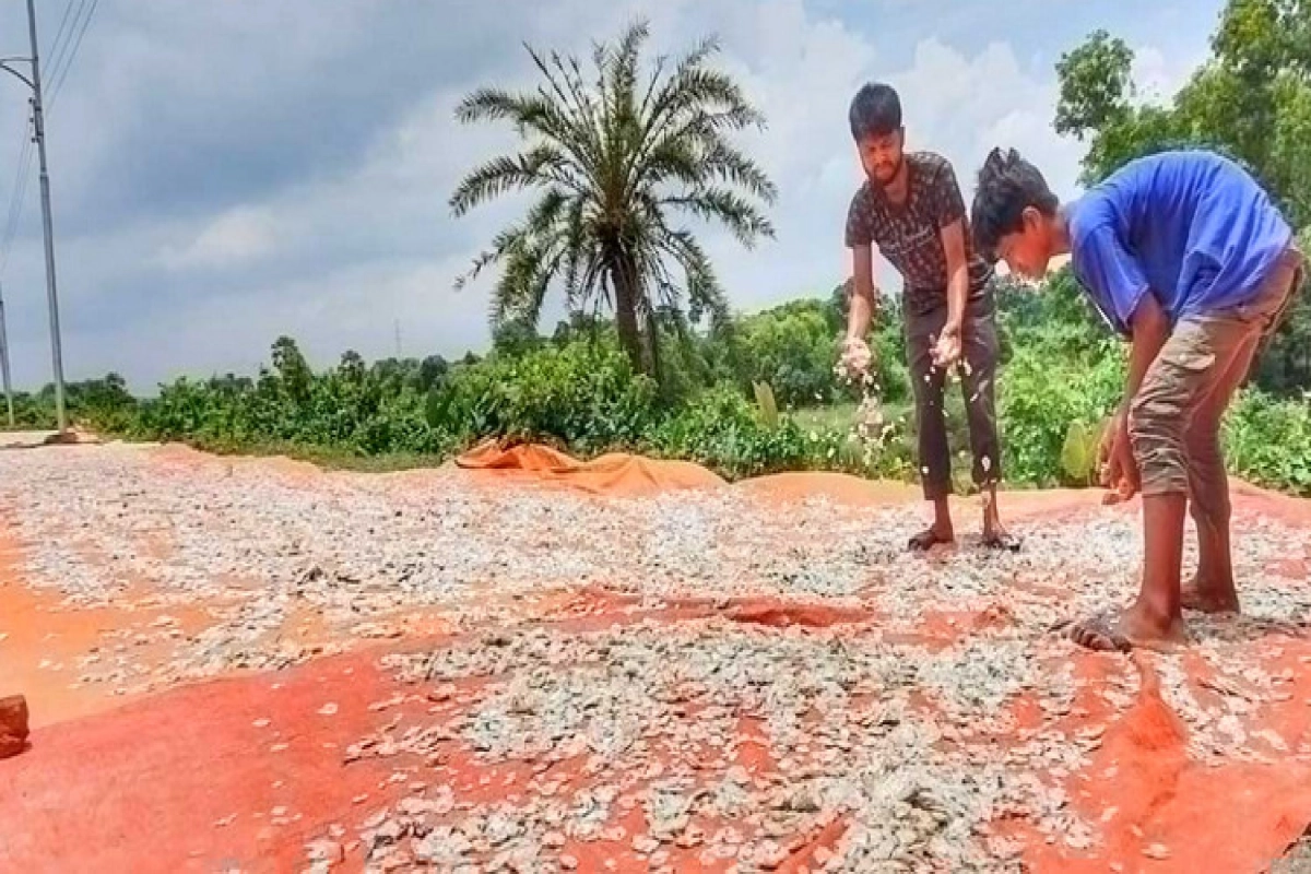 অভিনব এক ব্যবসা— মাছের আঁশ রপ্তানি