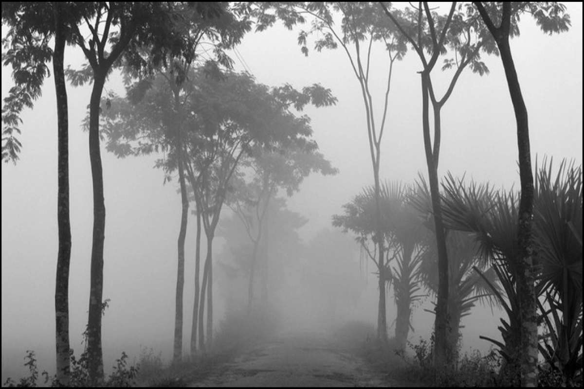 আজ থেকে সারাদেশে রাতে বাড়বে শীত, জানালো আবহাওয়া অফিস