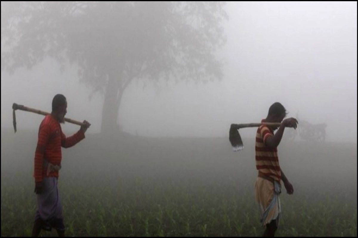 সারাদেশে শীত বাড়বে নতুন খবর জানালো আবহাওয়া অফিস!